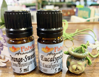 甜橙5ml+尤加利5ml+芳香陶項鍊一條=特價$790