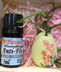 芳香戴著走~好空氣套組~呼吸順暢複方精油 5ml + 新款半月手工製陶項鍊一條, 特價 980