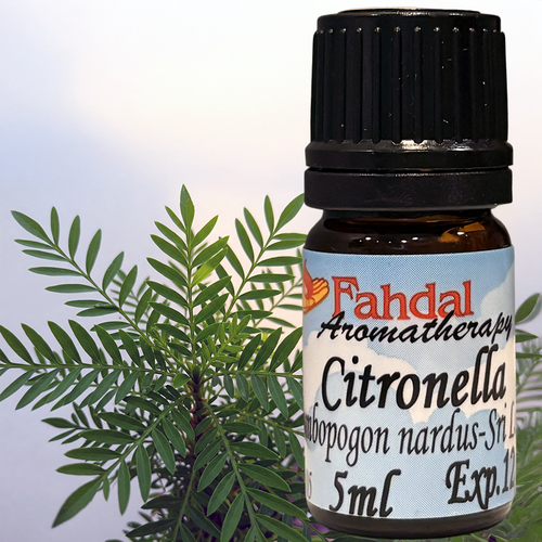 5ML 香茅精油 🌱  |⭐ 產品總覽|🍭 Fahdal精油|🌷 單方精油|▾芳香藥草類|⌵香茅 CITRONELLA 