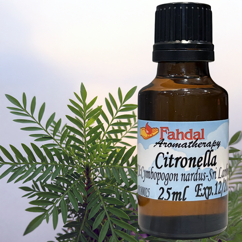 25ML 香茅精油 🌱  |⭐ 產品總覽|🍭 Fahdal精油|🌷 單方精油|▾芳香藥草類|⌵香茅 CITRONELLA 