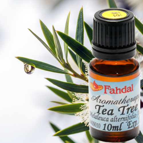 10ML 🌿 茶樹精油