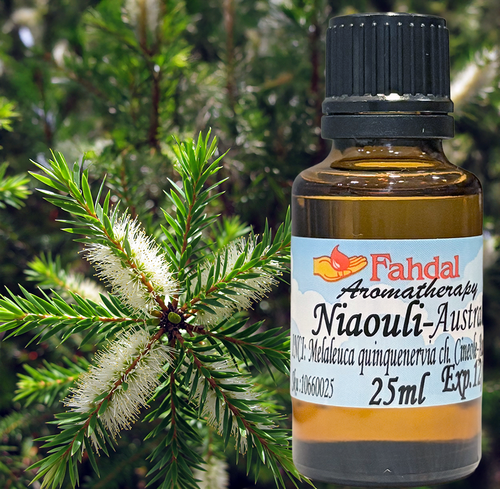 25ML 澳洲綠花白千層  |⭐ 產品總覽|🍭 Fahdal精油|🌷 單方精油|▾芳香藥草類|⌵澳洲綠花白千層 NIAOULI 