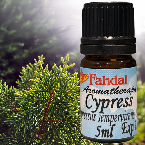 5ML 生命之樹：絲柏🌳😌  |⭐ 產品總覽|🍭 Fahdal精油|🌷 單方精油|▾針葉類|⌵柏樹 CYPRESS 