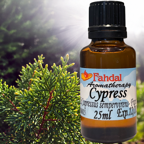 25ML 生命之樹：絲柏精油 🌳😌  |⭐ 產品總覽|🍭 Fahdal精油|🌷 單方精油|▾針葉類|⌵柏樹 CYPRESS 