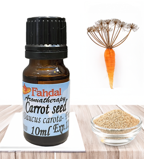 10ML. 胡蘿蔔種子CARROT SEED產品圖