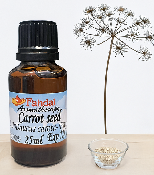 25ML. 胡蘿蔔種子CARROT SEED產品圖