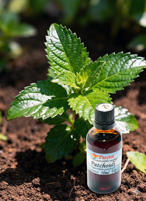 50ML 廣藿香精油