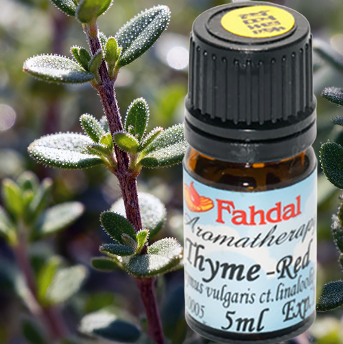 5ML 百里香酚百里香(Thymus vulgaris ct. Thymol )產品圖