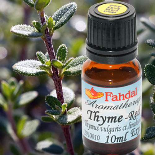 10ML 百里香酚百里香(Thymus vulgaris ct. Thymol)產品圖