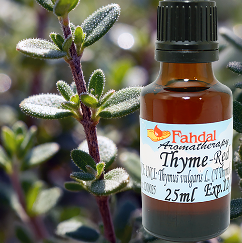 25ML 百里香酚百里香(Thymus vulgaris ct. Thymol )產品圖