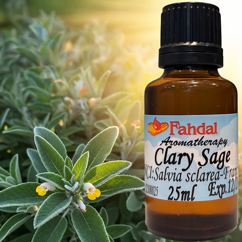 25ML 🌿 快樂鼠尾草精油 🌸  |⭐ 產品總覽|🍭 Fahdal精油|🌷 單方精油|▾芳香藥草類|⌵快樂鼠尾草 CLARY SAGE 