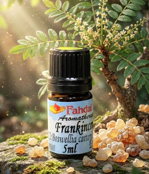 5ML 乳香精油(蒸餾法)