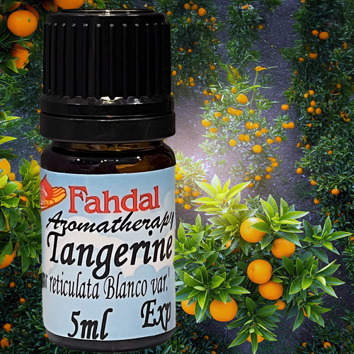 5ML 🍊紅柑 😊✨產品圖