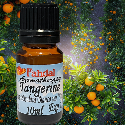 10ML 🍊紅柑 😊✨產品圖