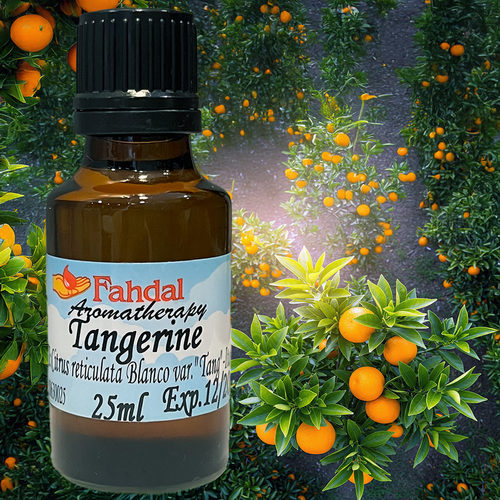 25ML 🍊紅柑 😊✨產品圖