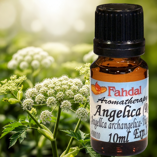 歐白芷 10ML  |⭐ 產品總覽|🍭 Fahdal精油|🌷 單方精油|▾根莖類|⌵歐白芷 ANGELICA 