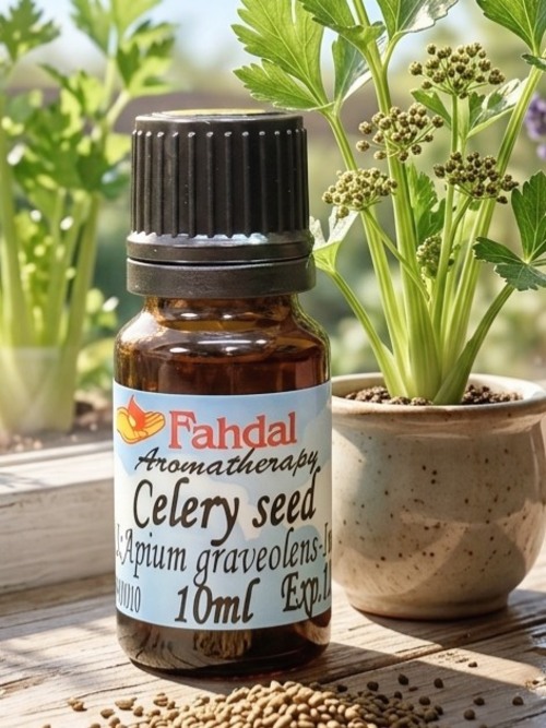 10ML 芹菜籽精油產品圖