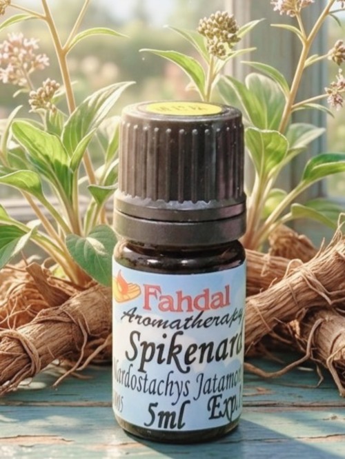 特級穗甘松 5ML