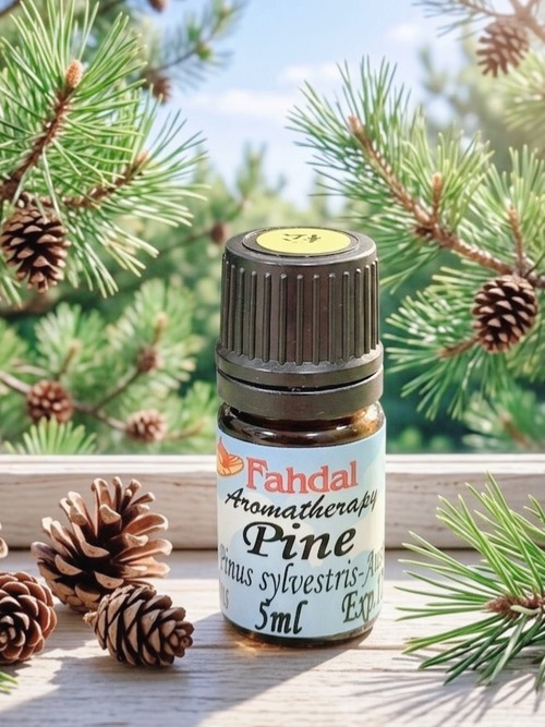 松樹 5ML 🌲產品圖
