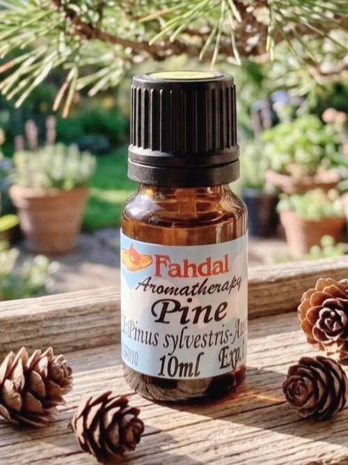 松樹 10ML 🌲✨產品圖