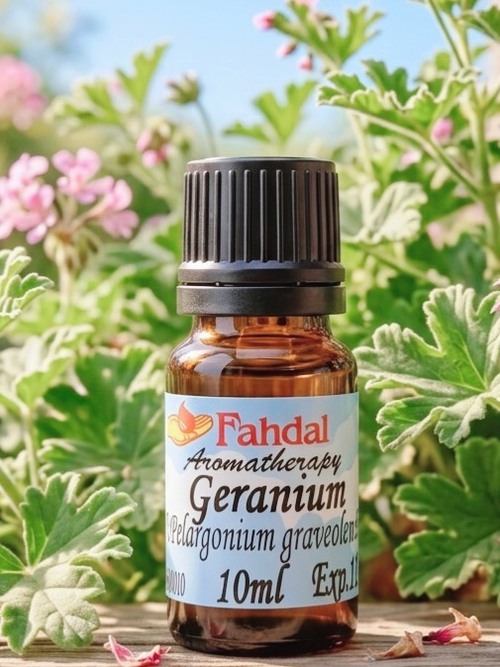 玫瑰天竺葵10ML  🌸✨