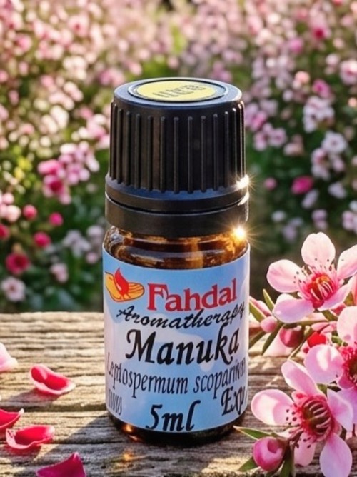 松紅梅 5ML ✨產品圖
