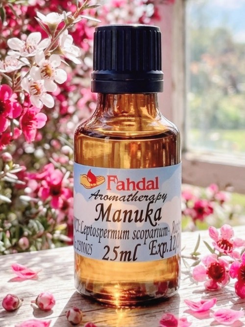 🌿松紅梅 25ML ✨