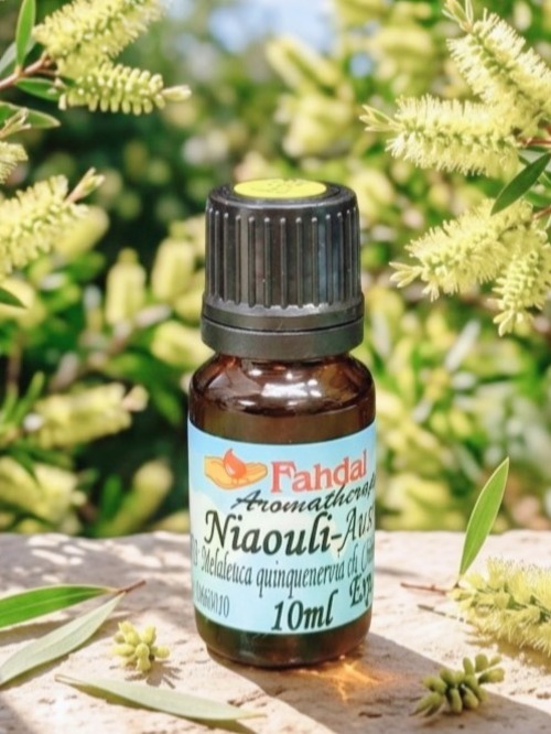 澳洲綠花白千層10ML