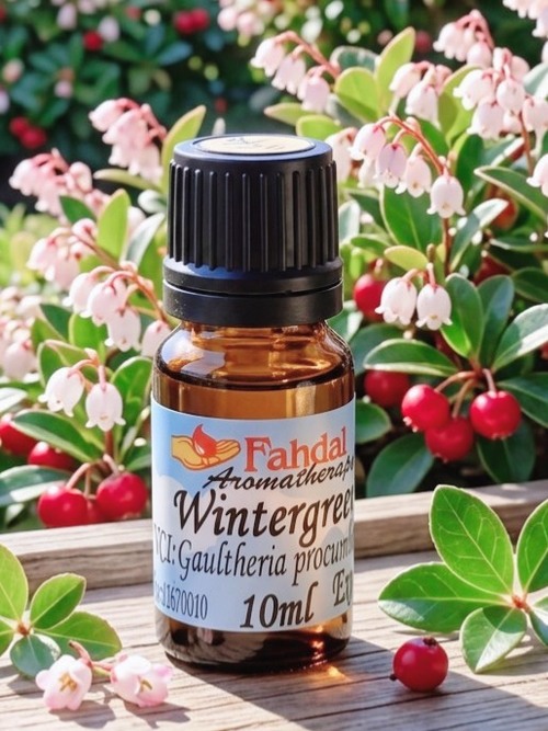 冬青樹10ML❄️產品圖