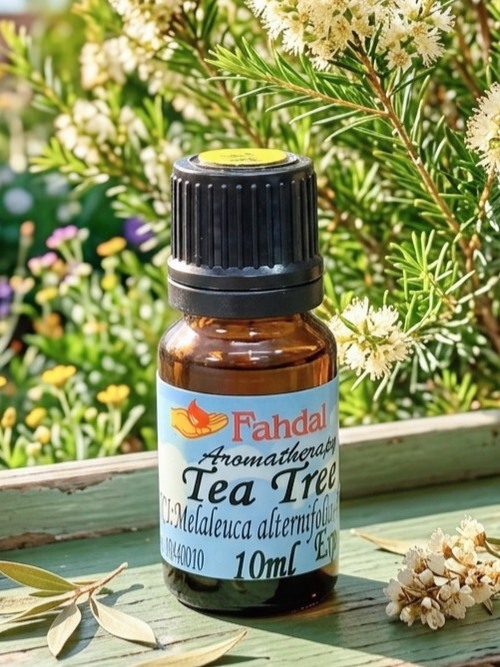 茶樹 10ML🌿產品圖