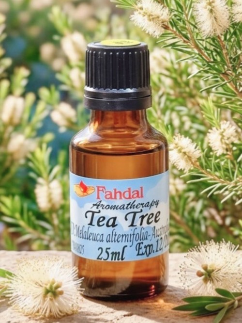 茶樹 25ML🌿產品圖