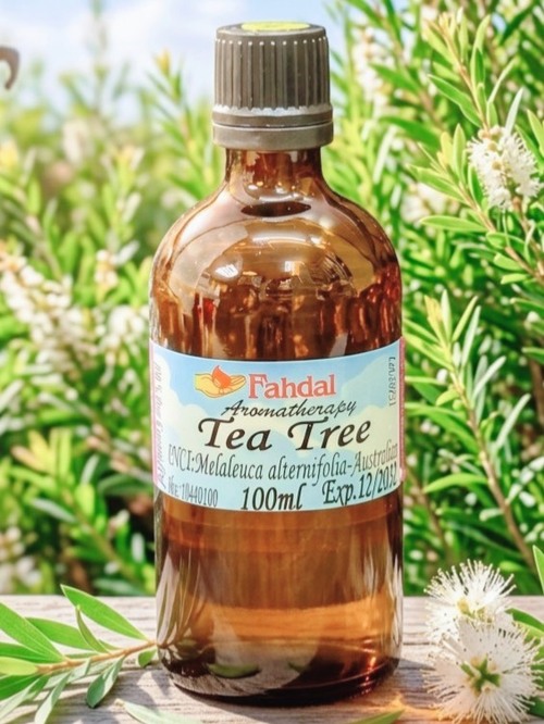 茶樹 100ML🌿產品圖