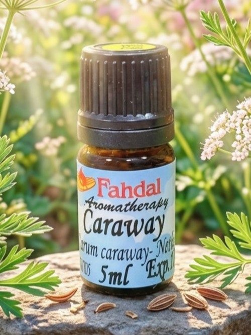 藏茴香 5ML