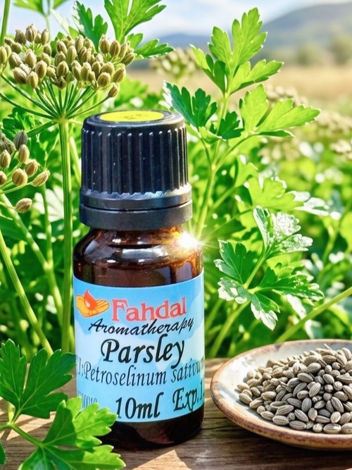 歐芹籽 10ML