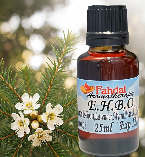 25ML EHBO產品圖